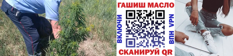 ТГК гашишное масло  купить  цена  блэк спрут онион  Палласовка 