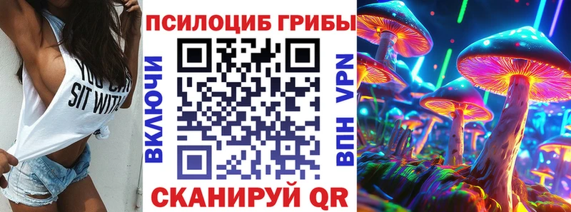 нарко площадка официальный сайт  Палласовка  Галлюциногенные грибы Psilocybe 